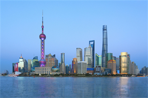 上海的国际贸易对国内消费的影响